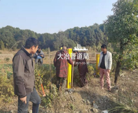 圖片.png 圖片.png